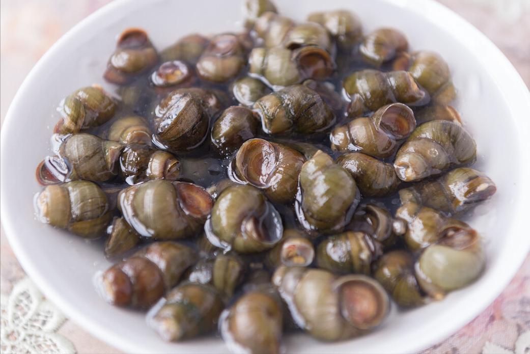 田螺放什么洗才洗得干净,清洗田螺里面放盐会死吗