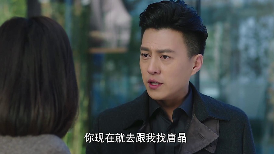 我的前半生唐晶教训凌玲的话,我的前半生唐晶劝罗子君片段