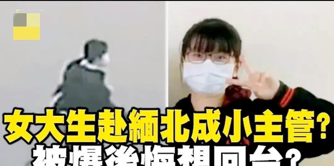 台媒评价缅北行动,台湾评论缅北局势最新消息