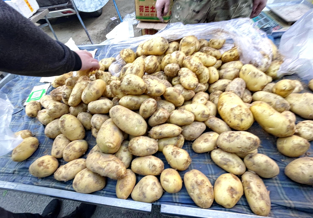 带大家看看东北早市物价多便宜,看东北早市物价冬天囤菜