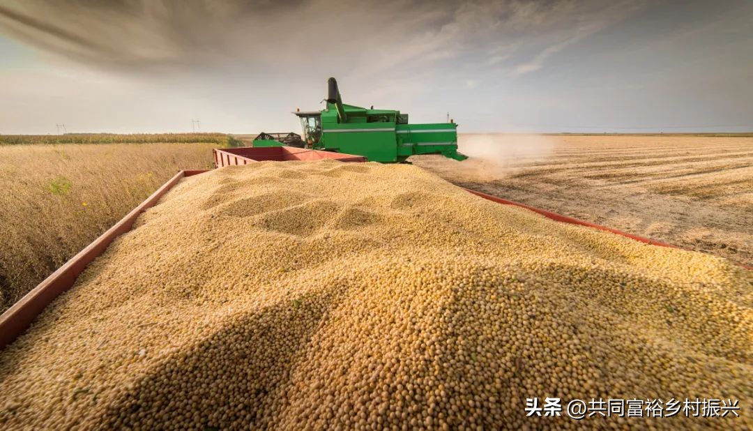 世界十大最顶尖的农产品强国,世界十大新型农业产品