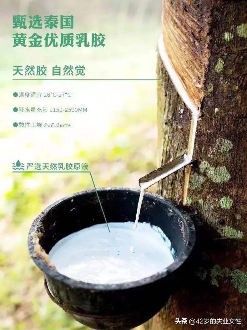 如何判断乳胶枕是天然还是合成,天然乳胶枕和合成乳胶枕