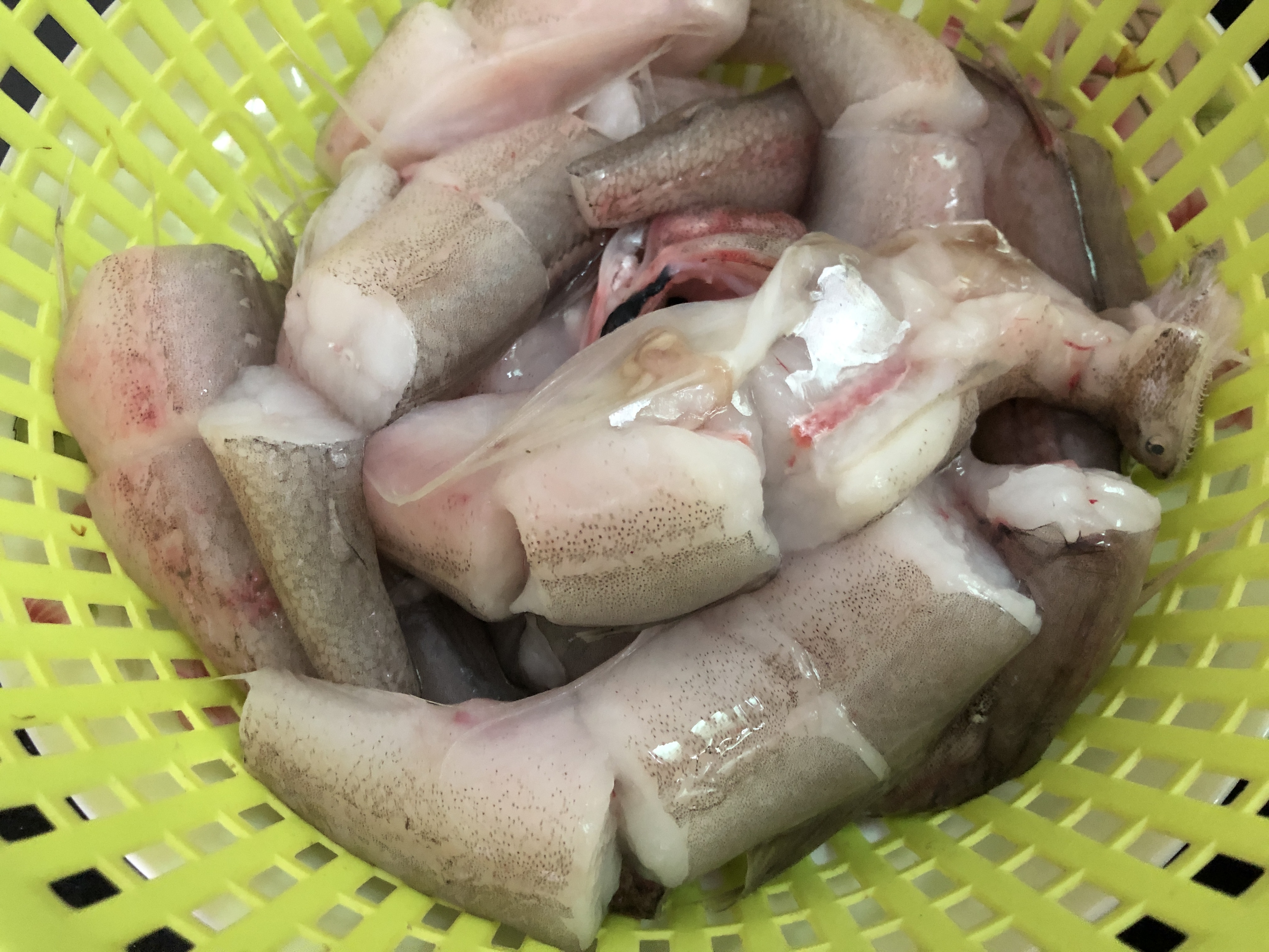 秋冬季最好吃的海鱼,这个季节适合吃什么样的海鱼