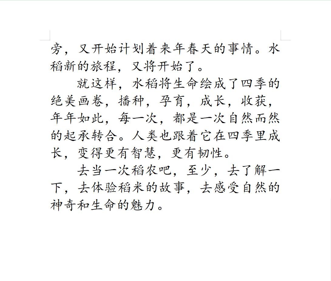 获奖作文《稻米的故事》，充满希望的稻田，老师：想象力很强