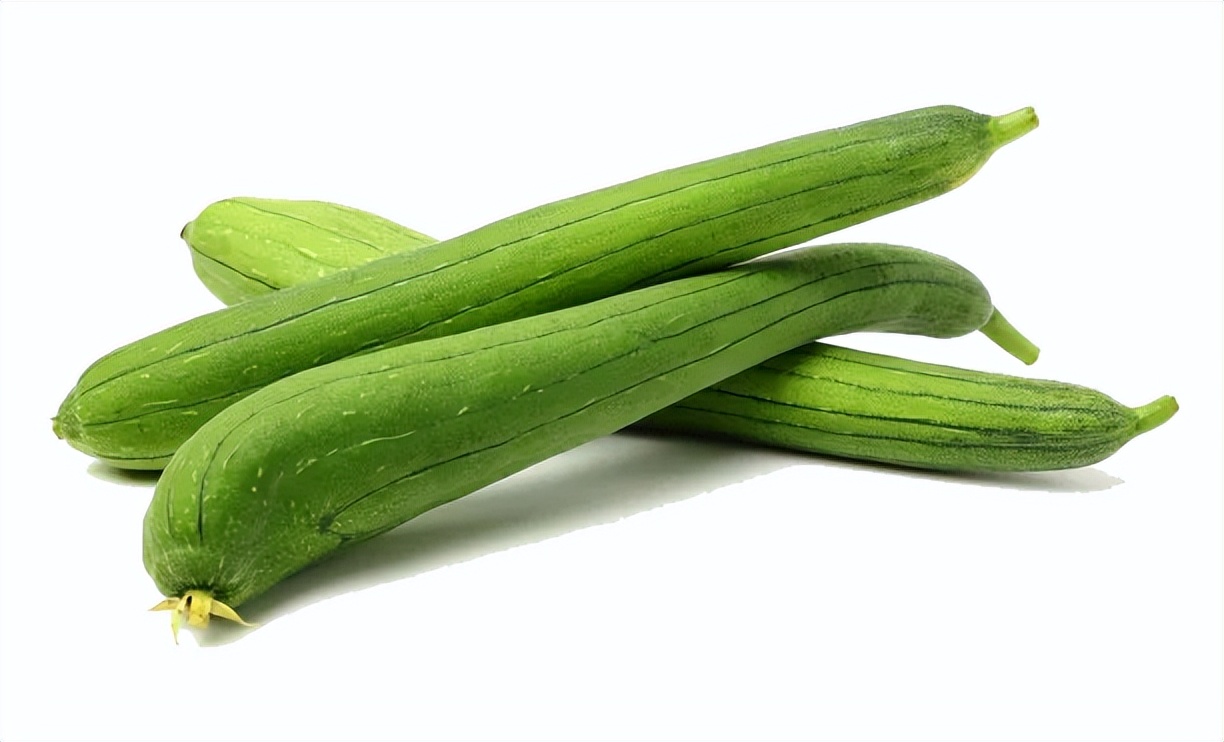 道仙草｜水瓜的“水分”