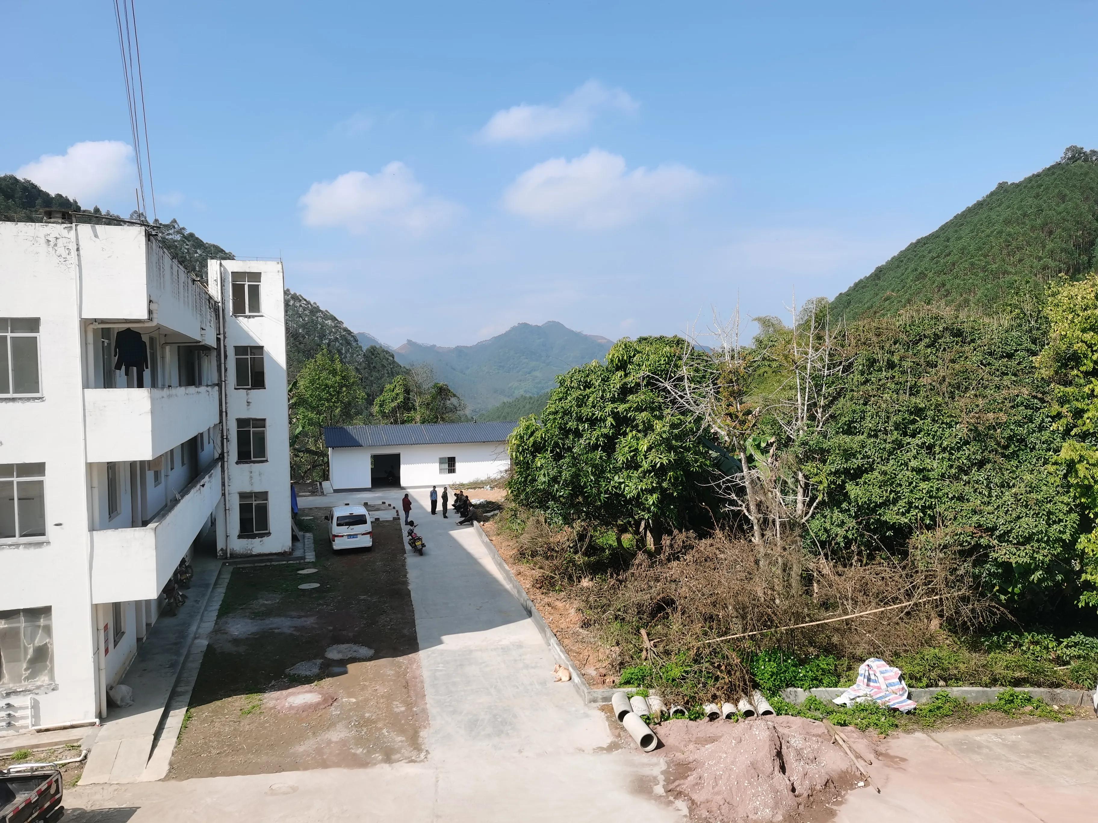 探秘原始森林的真实过程,揭露森林背后的真相