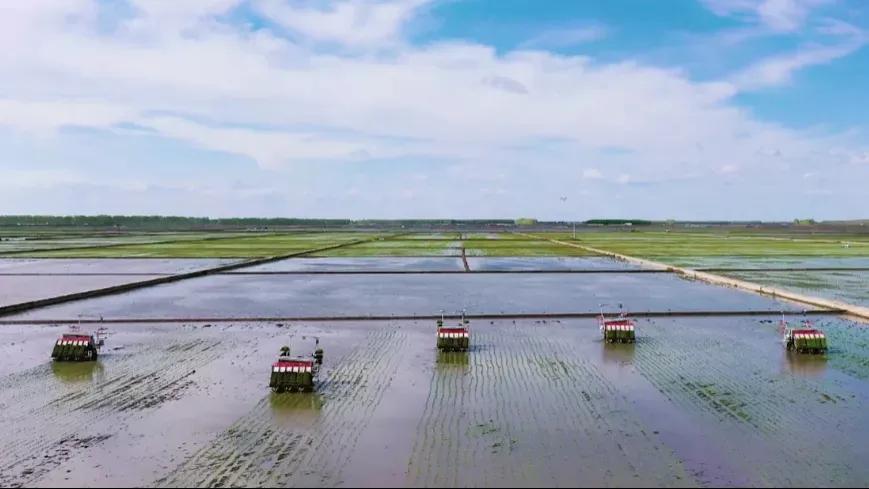 外冈镇：活力涌动，“睿”不可挡