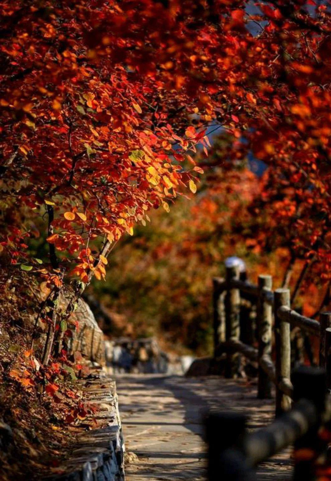 时光微步岁月静往,时光微步岁月静缓的意思