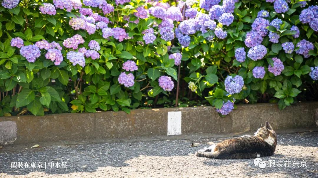 365张照片回顾,365张相片