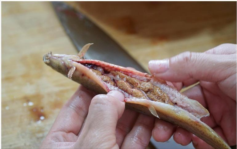 泥鳅水花常见病害及解决方法,泥鳅黄鳝的养殖技术和病害