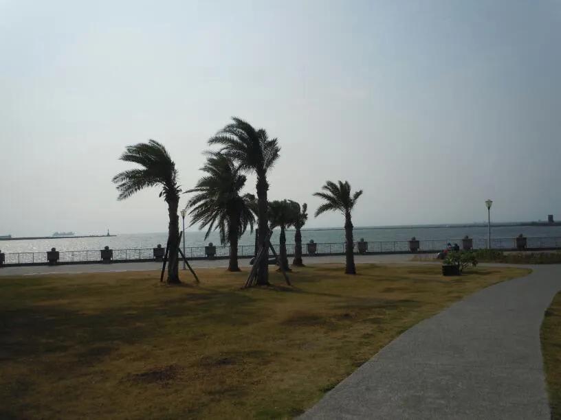 跟随老韩走遍中国，台湾自助游之七