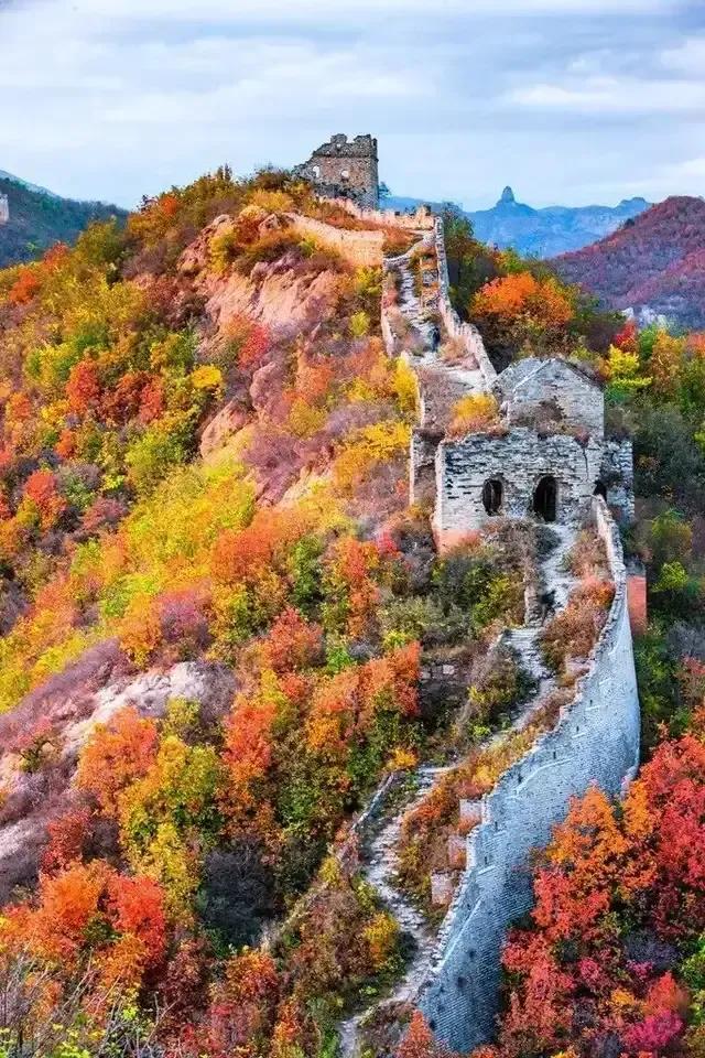 脸上出汗是什么原因呢,脸上流汗是凉的是怎么回事