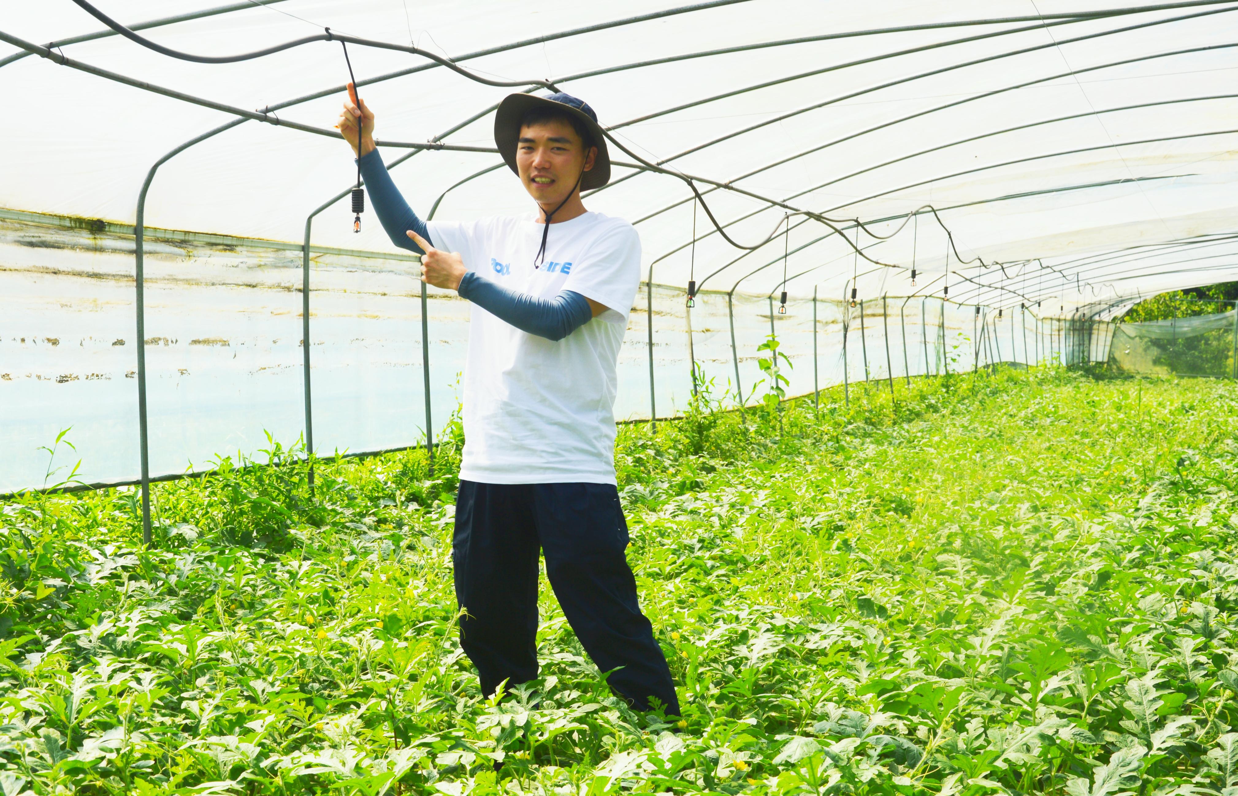 蹲点日记|90后大学生从种植“门外汉”到省级农村致富带头人