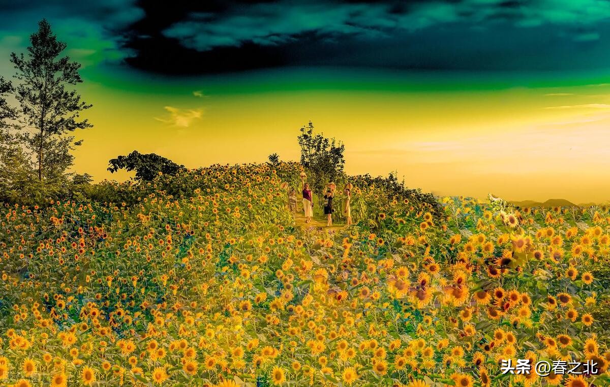 时光静好岁月不老的句子简短,愿岁月不老时光静好你我安好