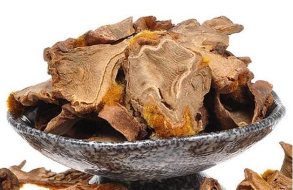 落新妇性味归经,落新妇药理作用