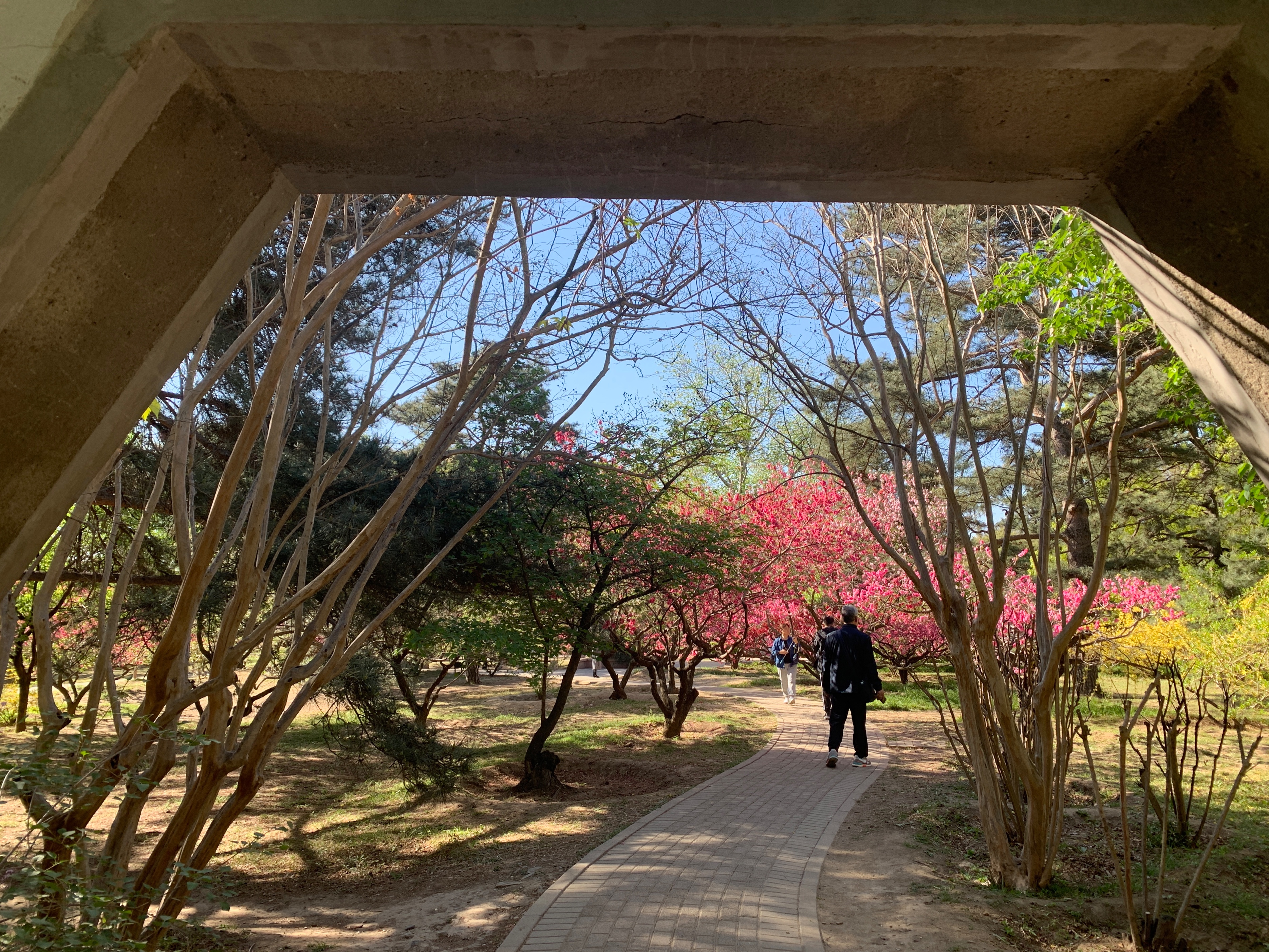 土地增值税中的普通住宅标准,土地增值税清算对普通住宅的界定