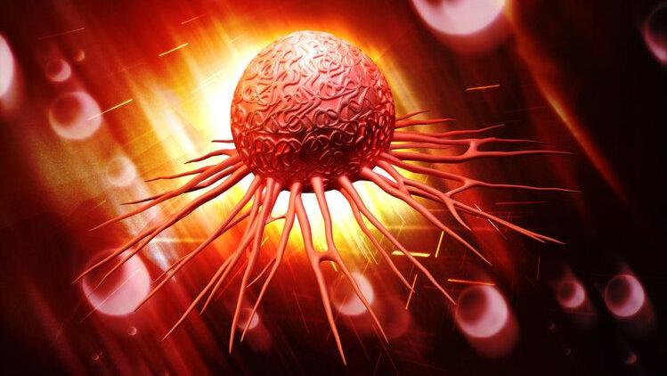 妇女外阴瘙痒是什么原因引起的,女士外阴瘙痒是什么原因引起的