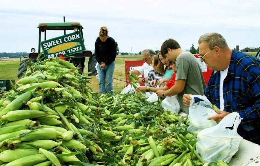 这几种东西切记千万不要吃,今年千万不要吃这2个地方的东西