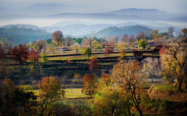 黄冈最新立项重点项目,黄冈市最新在建项目