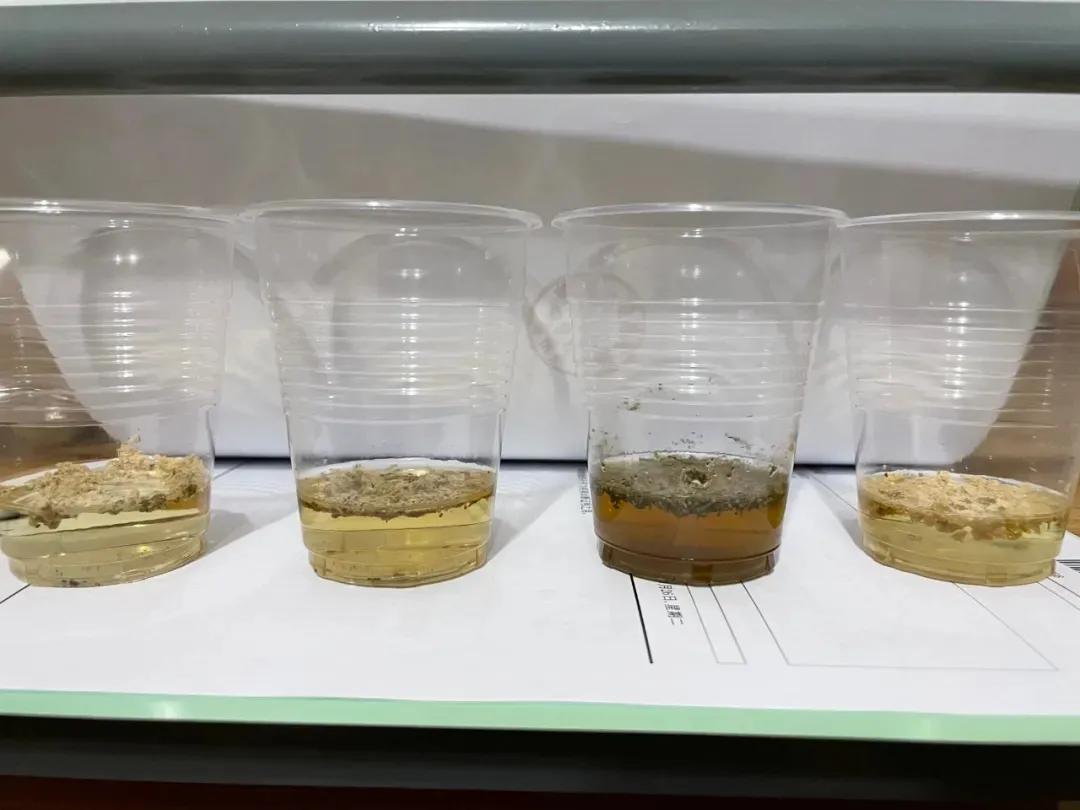 每日分享穴位小窍门,每日艾灸知识分享