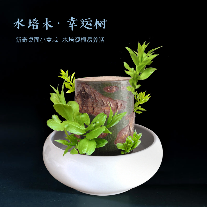 适合拍照的平价的小道具,高质量拍照小物推荐