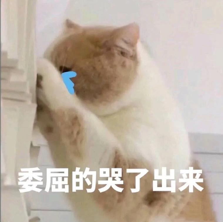 lv是不是收割人类智商税,lv智商税排行榜前十名