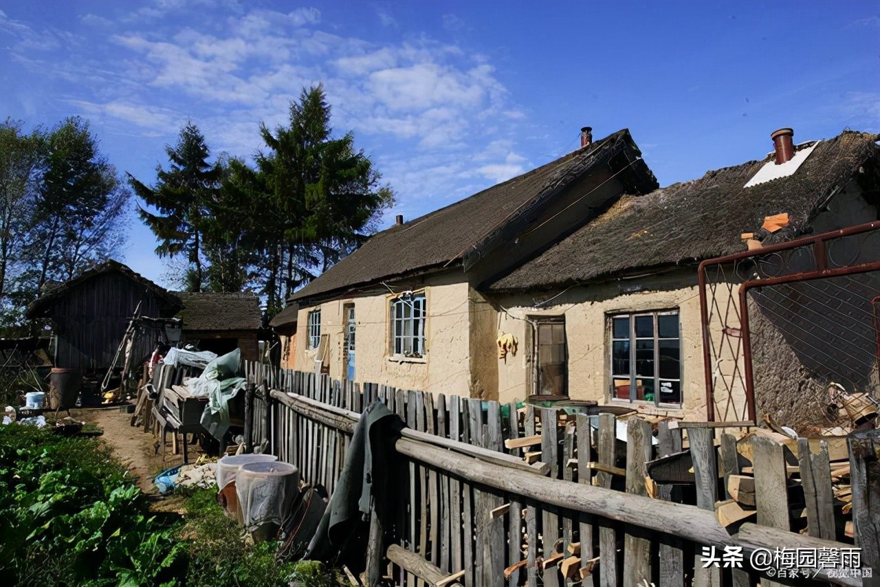 我的小风水师,我的小弟解析