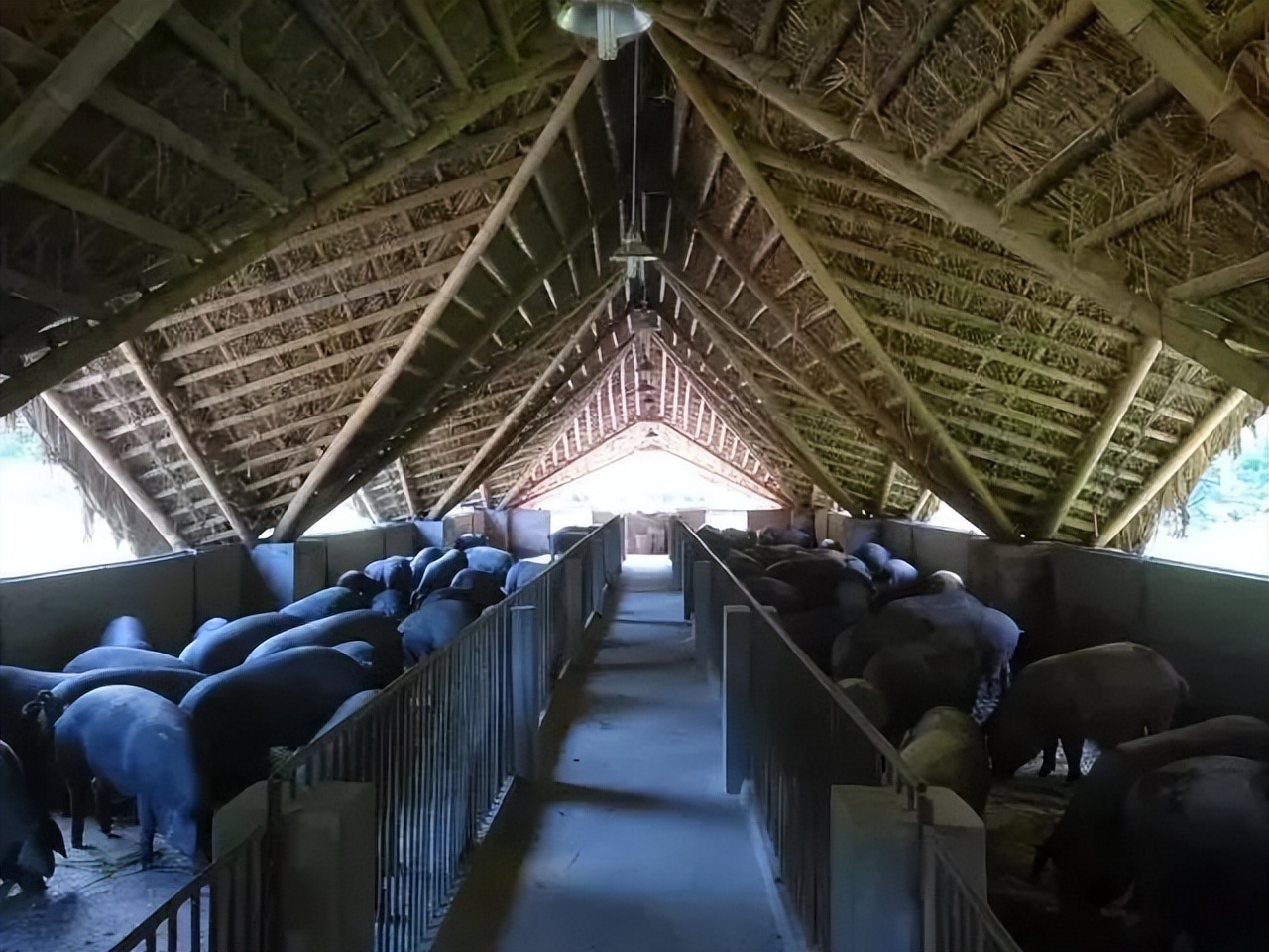 乡村改造方法盘点,100个乡村改造名单