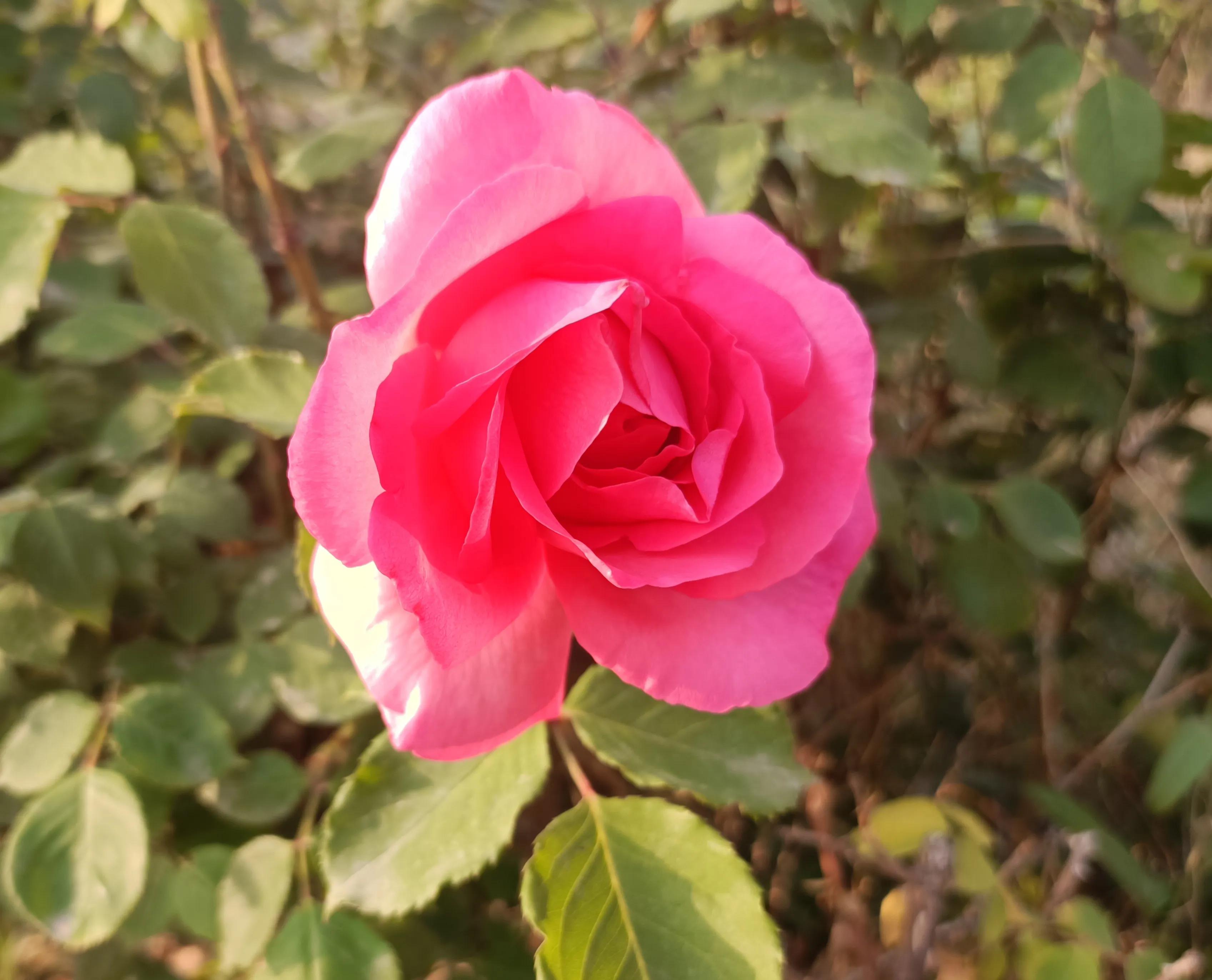 机械行业年薪几十万的是做什么的,机械行业工资待遇怎么样