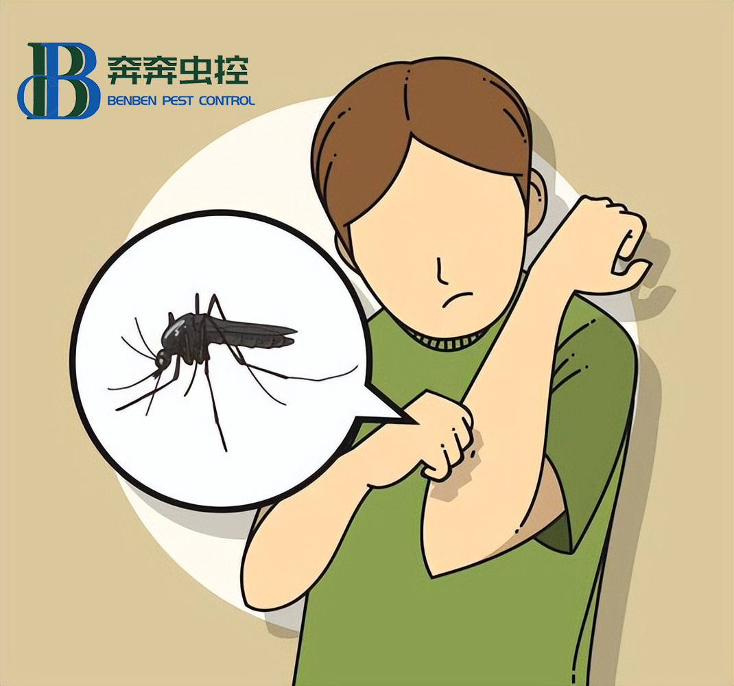 家里有蚊虫怎么解决,家里蚊虫多是不是风水出问题了