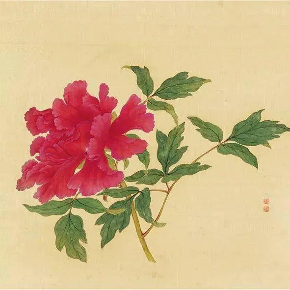 蒋廷锡牡丹画法,蒋廷锡百种牡丹画法