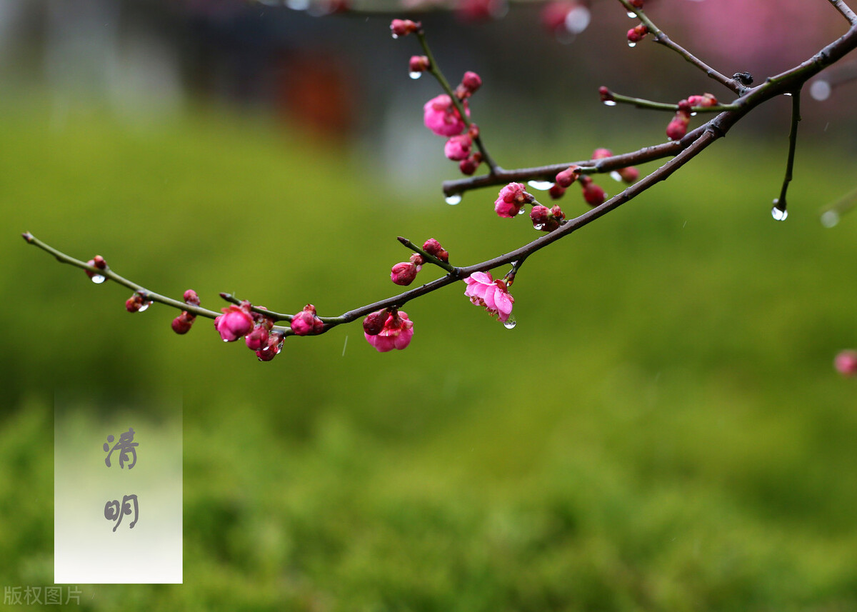 墓碑上故先考是什么意思,墓碑上故先考和故显考是什么意思