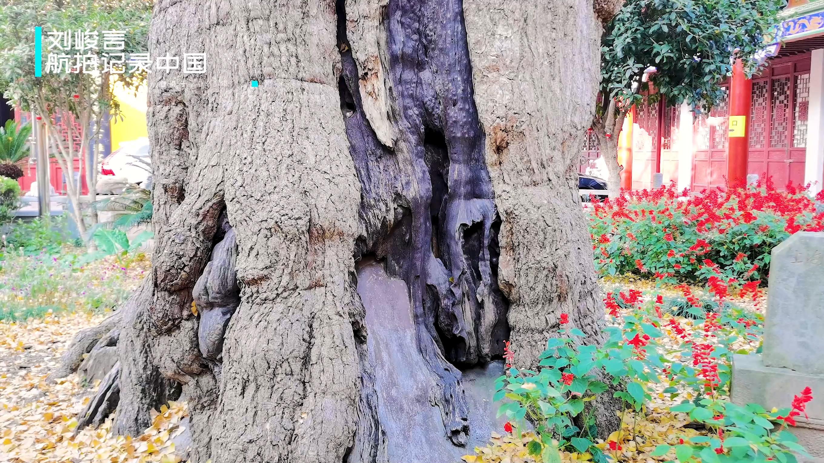 南汇五角大楼现在怎么样了,惠南镇五角大楼为何开不了