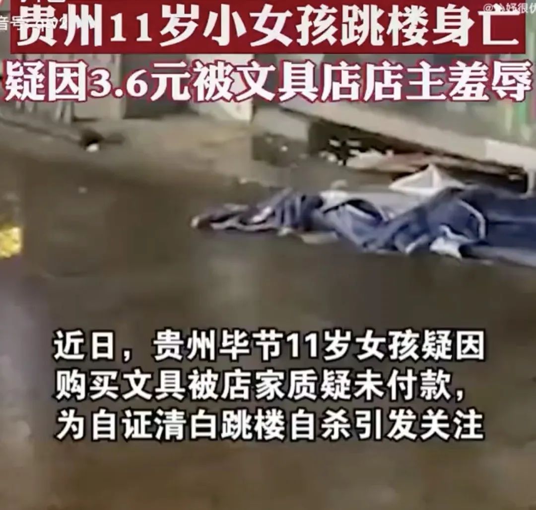 扬州小女孩被冤枉偷盗,江苏扬州店主冤枉小女孩偷东西