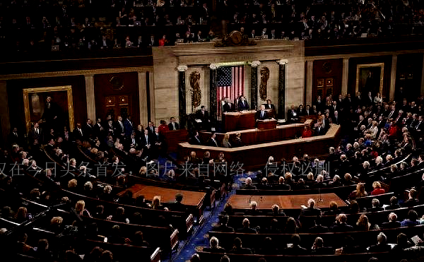 美国女子衣着暴露被罚,美国女政客事件