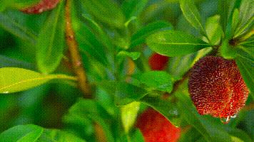 浙江台州：一座仙气飘飘的小县城，中国最接近“天堂”的地方