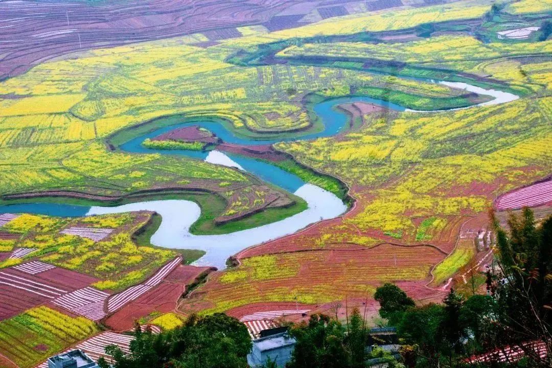 悬念揭晓在即,悬念揭晓视频