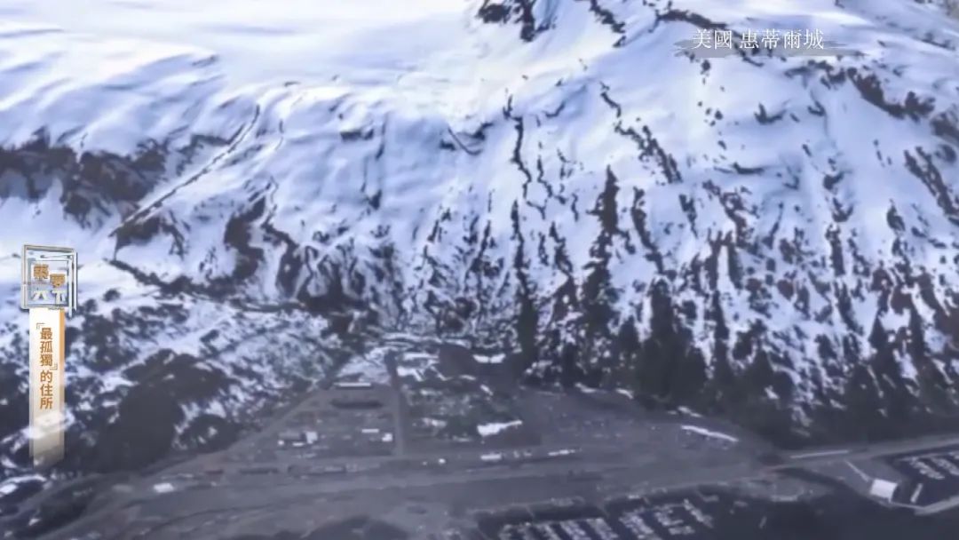 孤岛探秘试玩,孤岛探秘小说