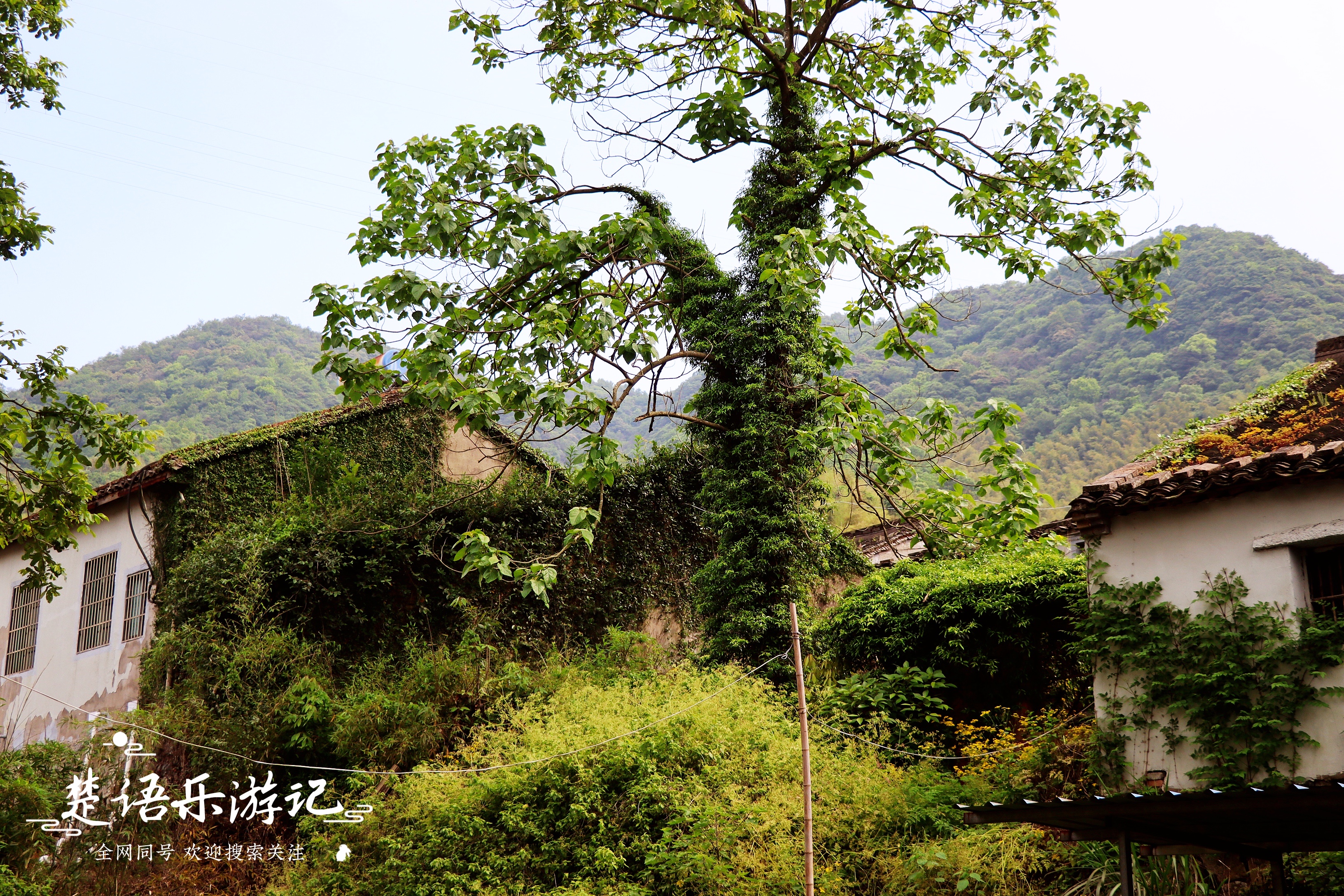 陕西省太白县是最佳避暑胜地吗,太白度假旅游景点