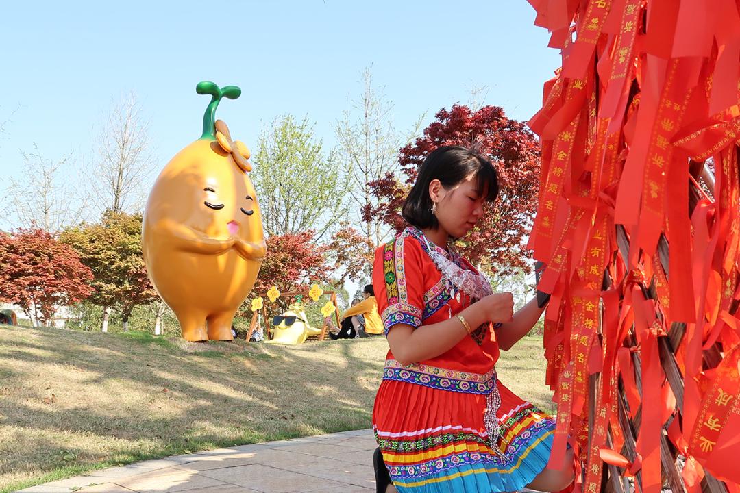 妗傛灄缇庨琛楁鑺辩硶,妗傛灄姝ｉ槼姝ヨ琛楃編椋熸鑺辩硶