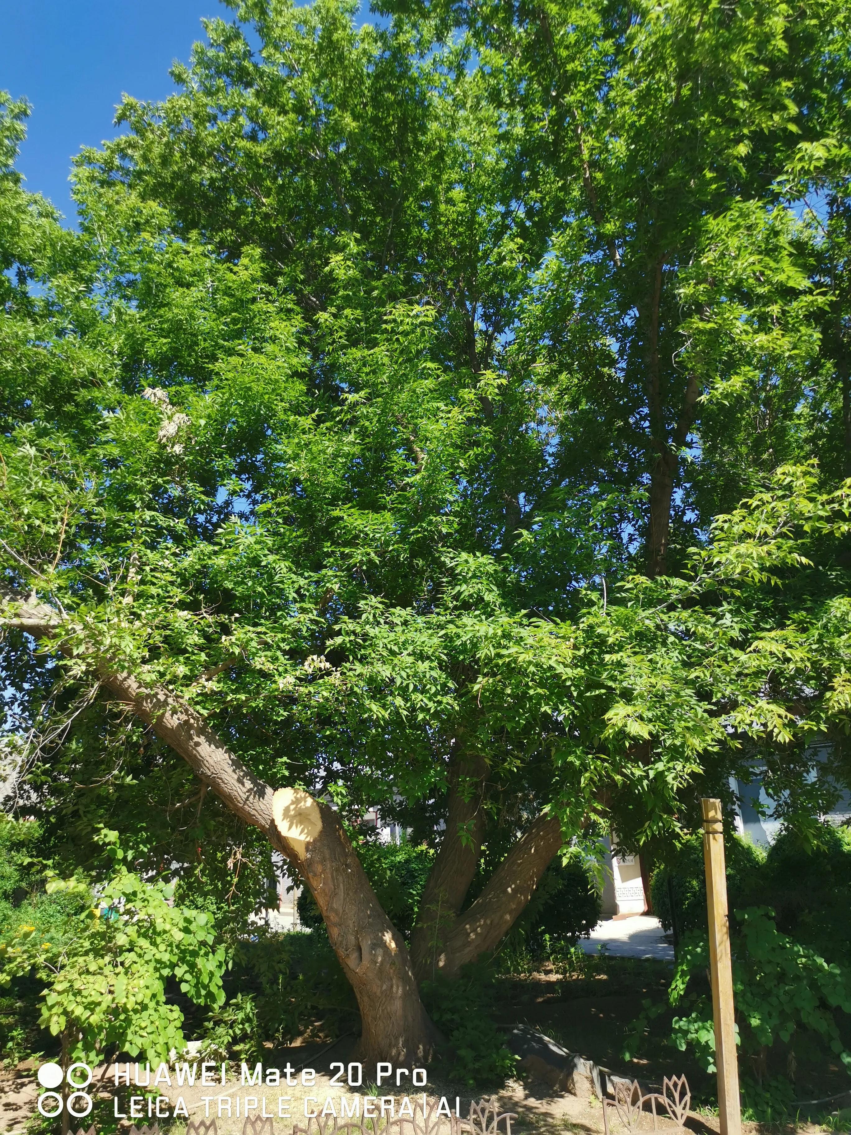 闲话启功书法作品欣赏,闲话汪曾祺书籍