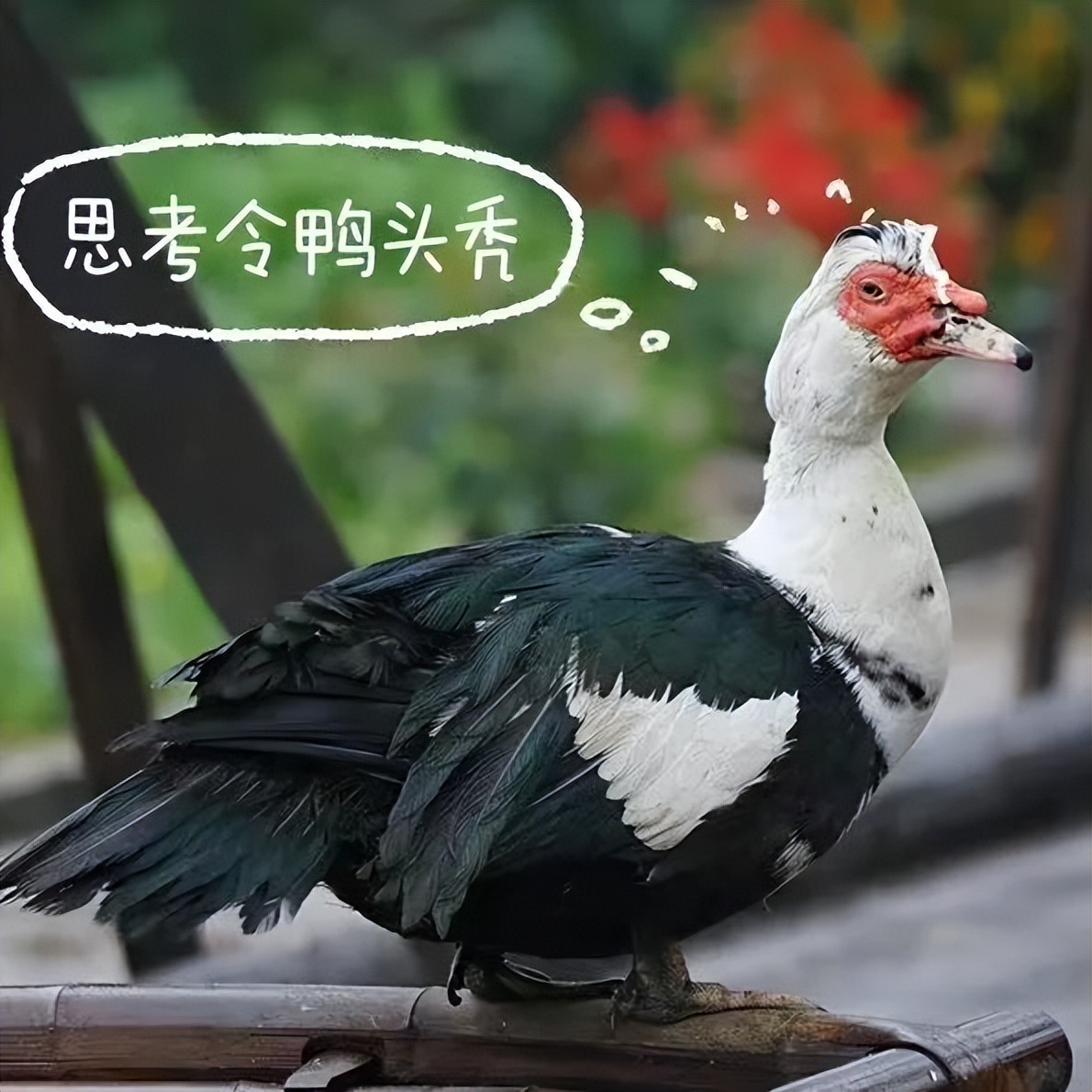 阳转阴后切记做的十件事,阳了转阴不要受凉的句子