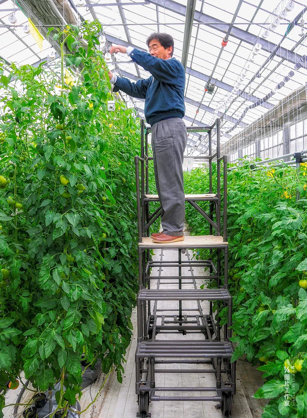 超级服务系统,超级服务怎么添加