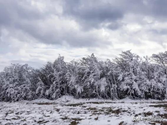 2023年是黑兔有什么说法,2023年黑兔遇上闰二月有什么说法