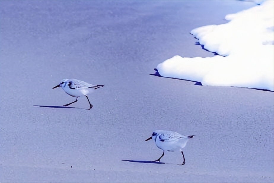 人生怎样活才合适,人生怎么才能活好自己