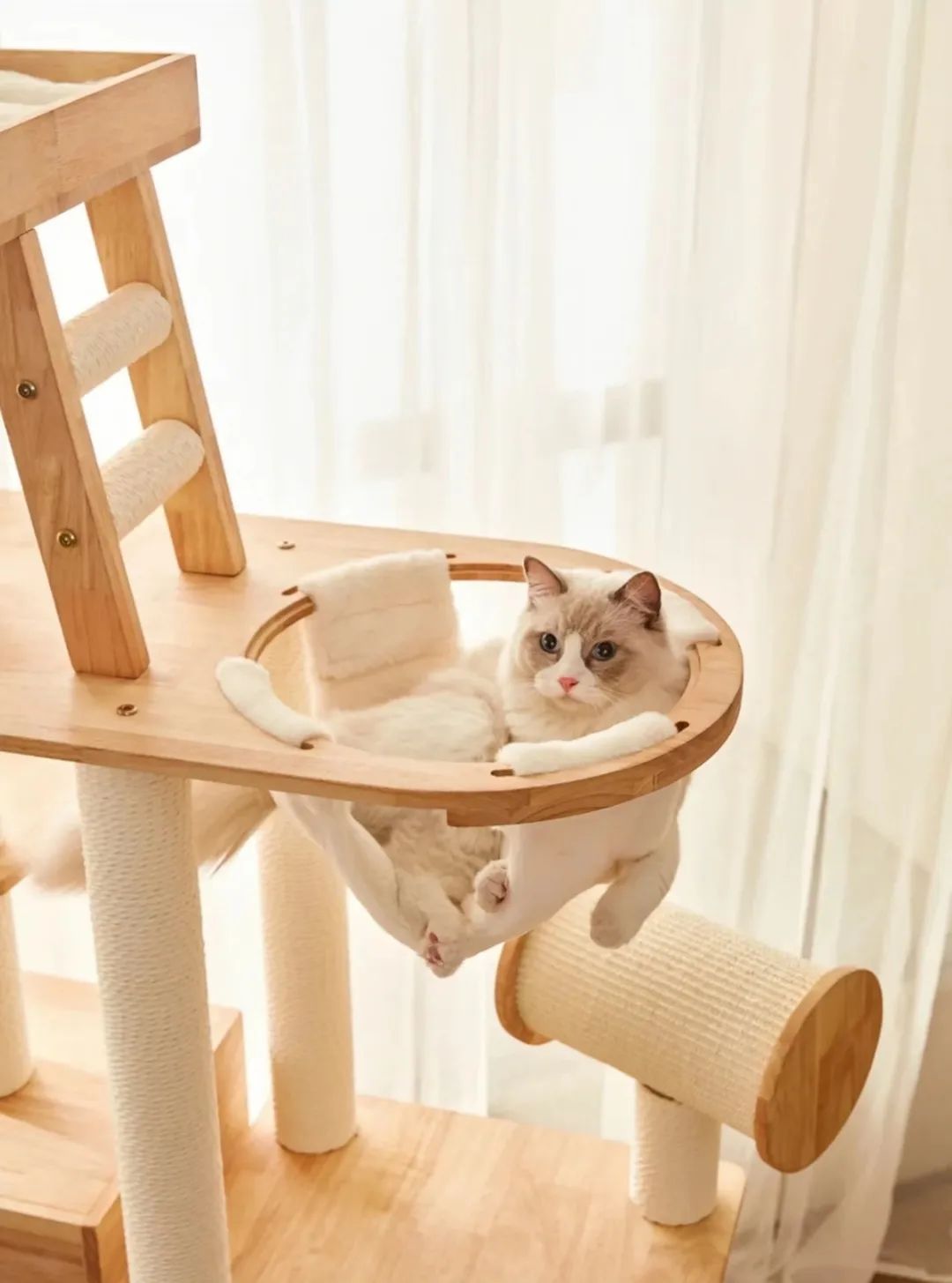 网购省钱的5个小绝招,网购学会这些省钱关键词