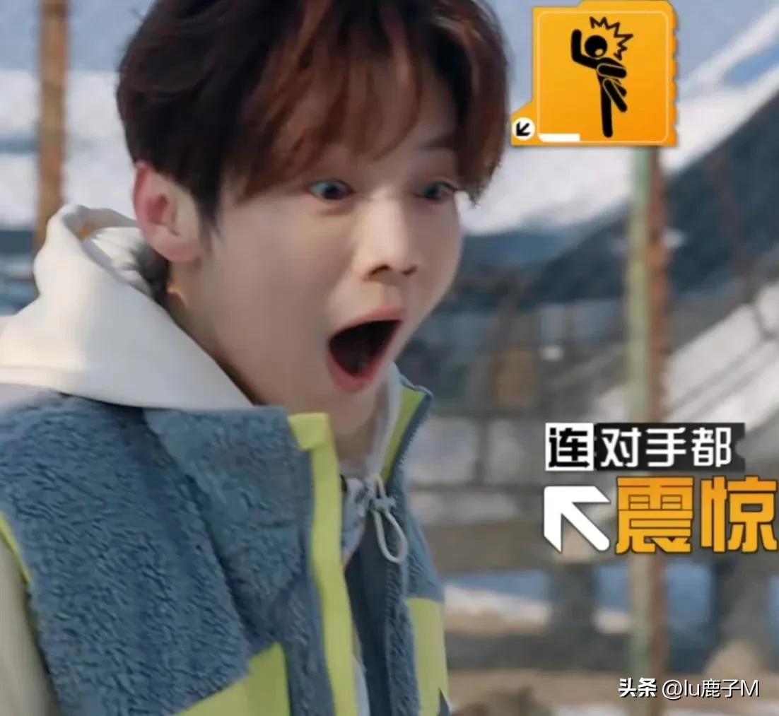 五哈观后感,五哈3观后感