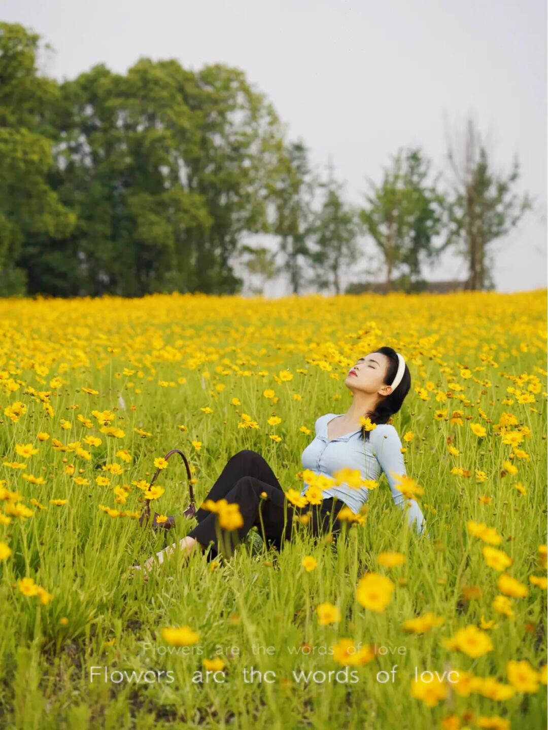 金鸡菊花海旅游攻略,金鸡菊花海美景