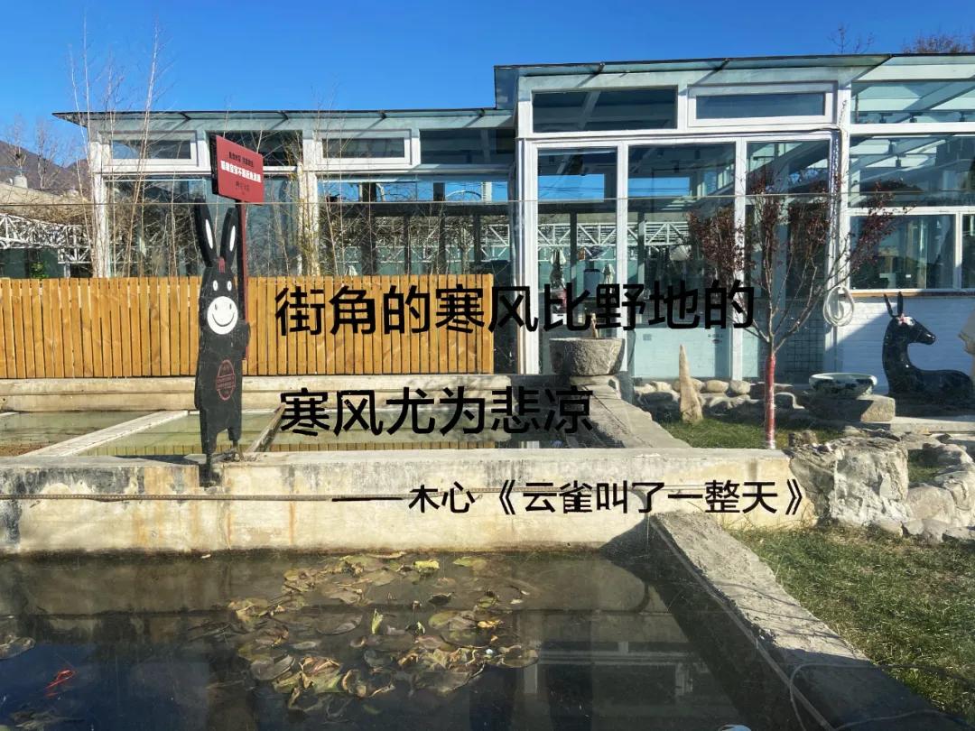 日流水20万，它在院里卖驴肉，小院餐饮正悄悄走火