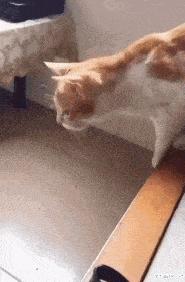 今天过来按脚，恰巧碰见了前女友，我该怎么化解尴尬呢？